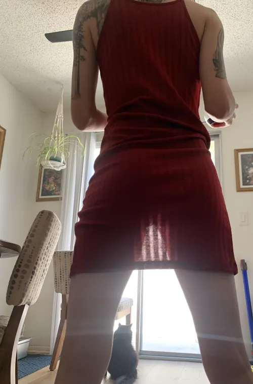 Thumbnail Ready for Sun and Summer: Embracing the Bright Side in WtSSTaDaMiT