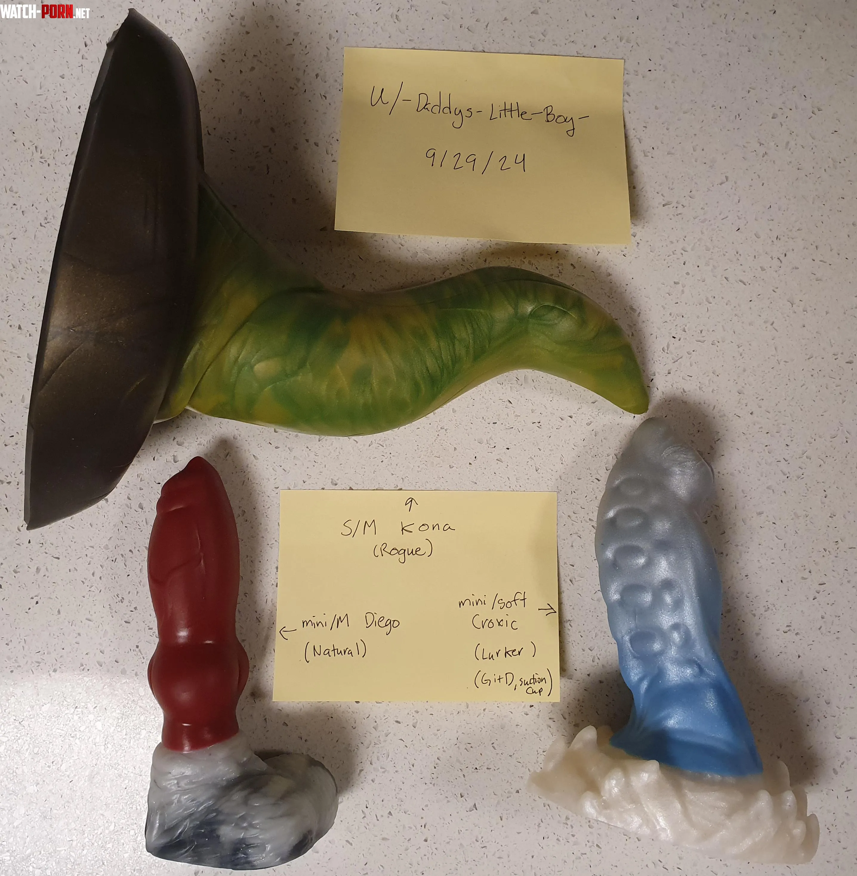 Selling Kona Diego Croxic by -Daddys-Little-Boy-