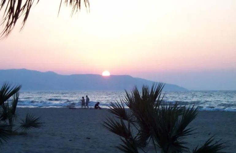 Thumbnail Capturing the Beauty of Palm Trees and Sunset in Turkey on the Beach by Tangcityshop