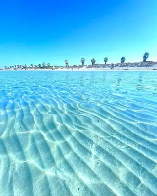 Thumbnail Purity at its Finest by Main_Analysis_5224 | Beach Category