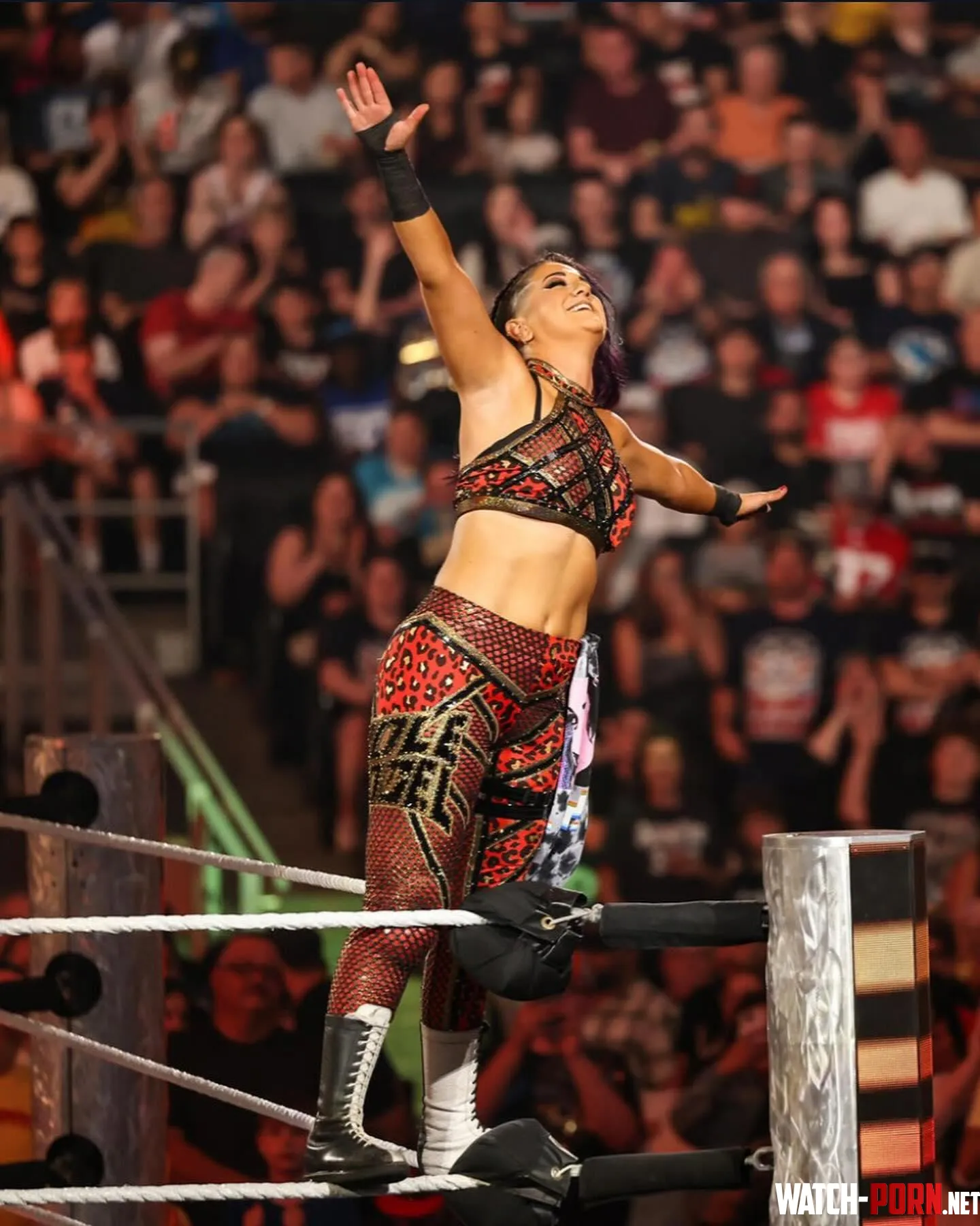 Bayley  by MathematicianLast720
