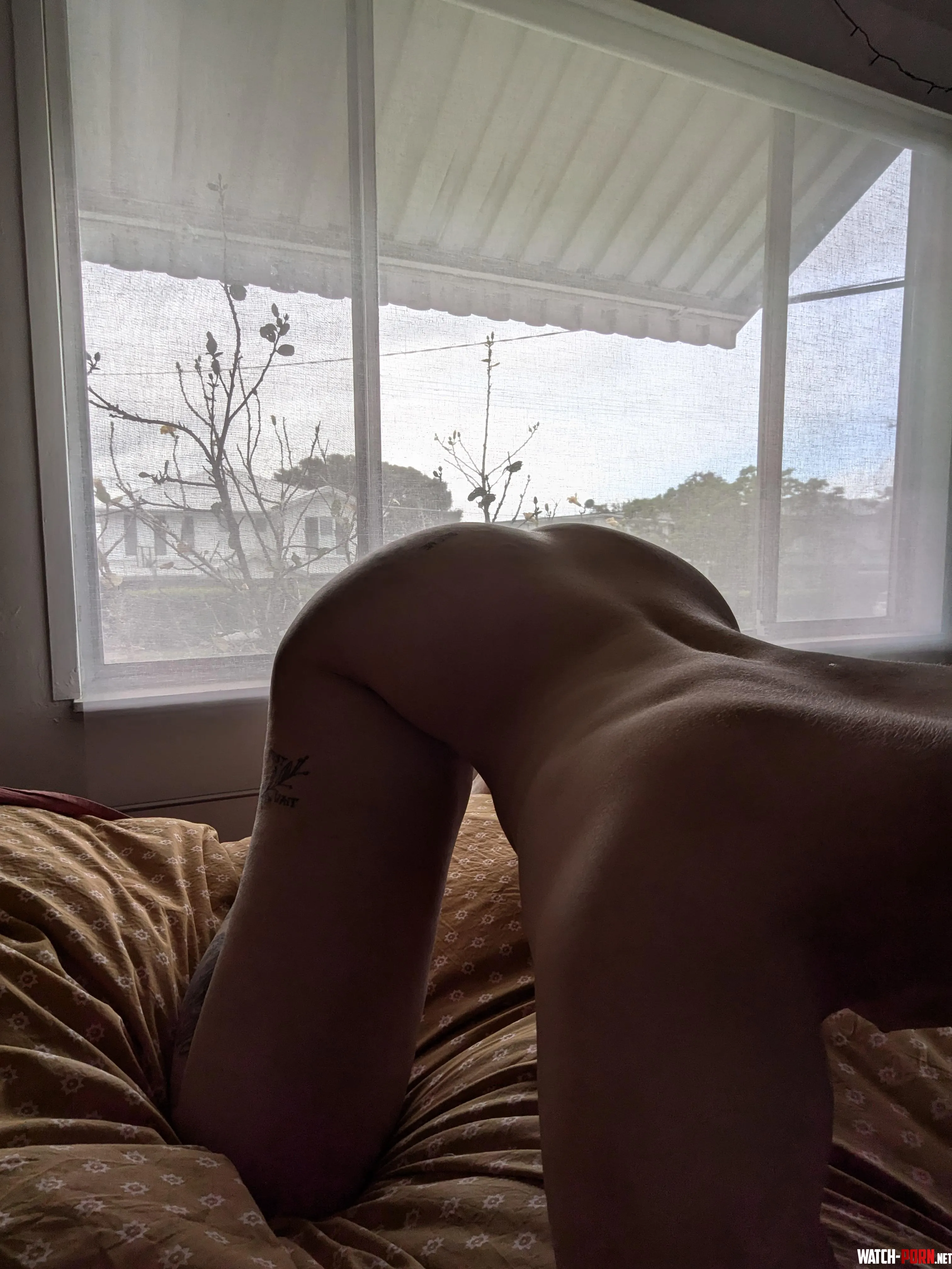 Now I just need a photo from the other POV by _TabithaWalker_