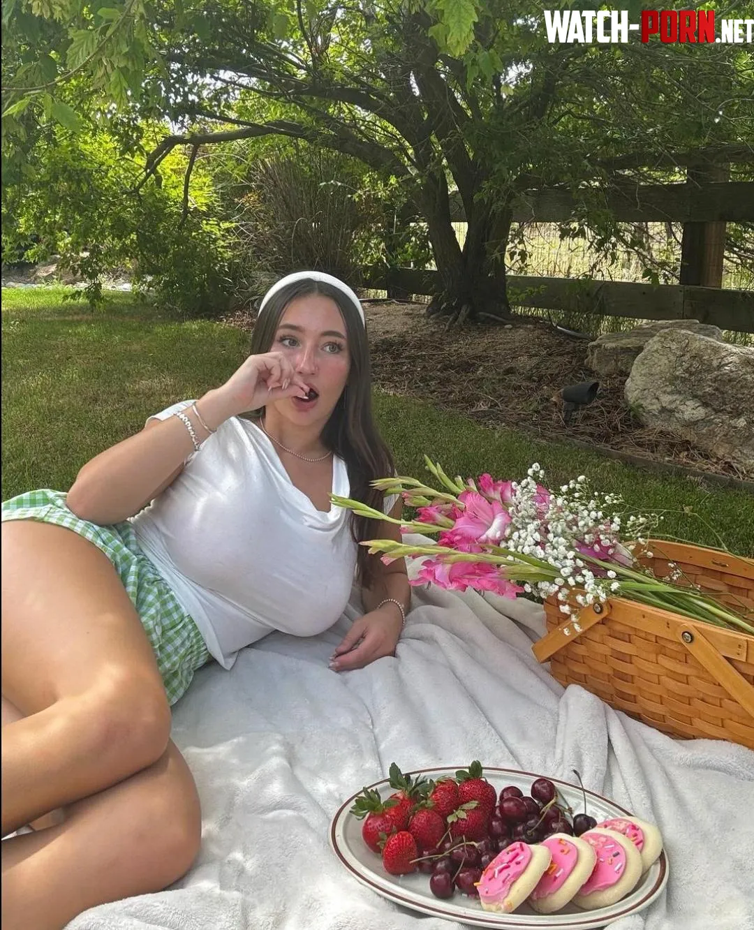 Picnic  by dngslng
