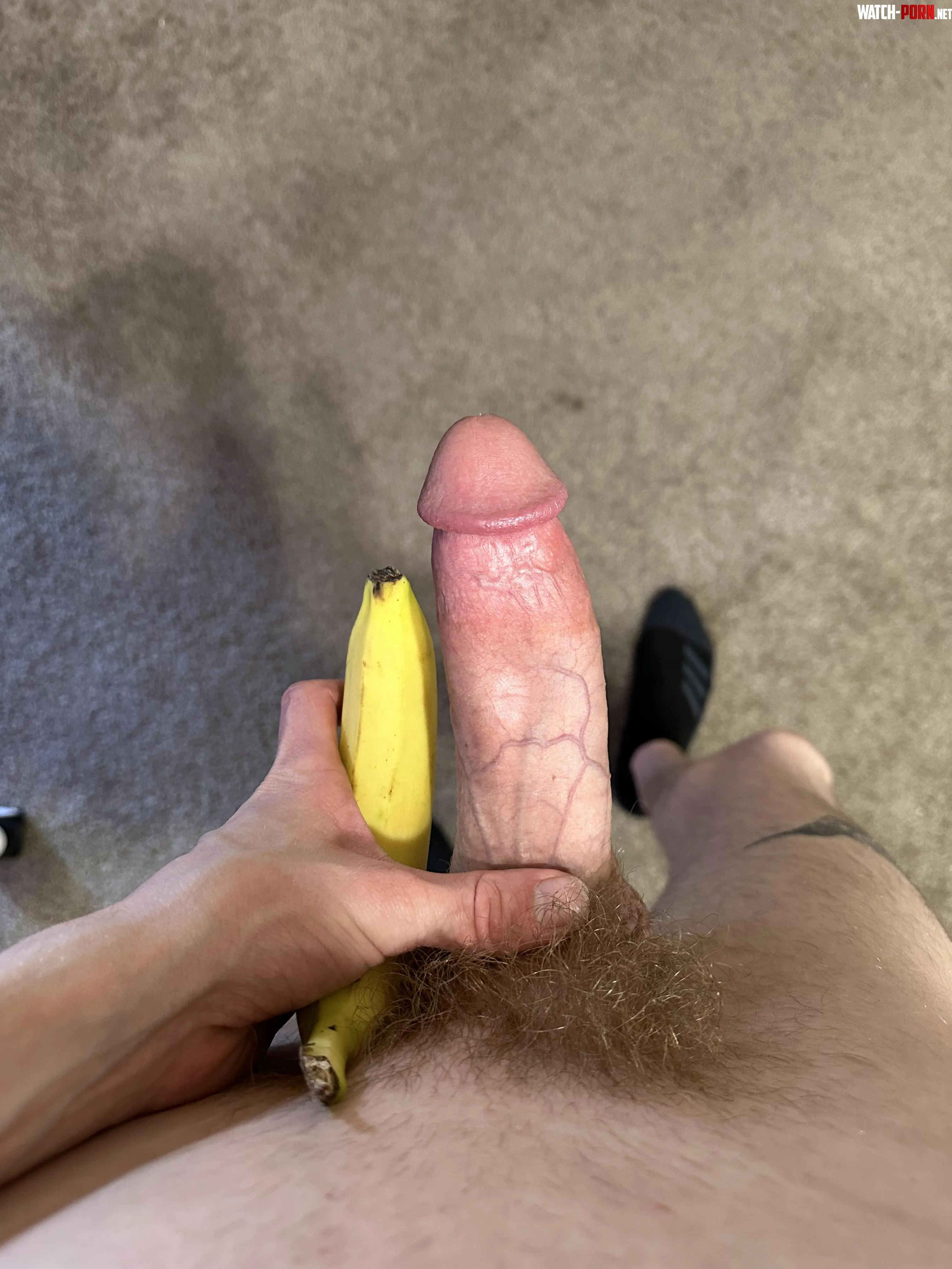 Who likes Bananas by No_Judge_1781