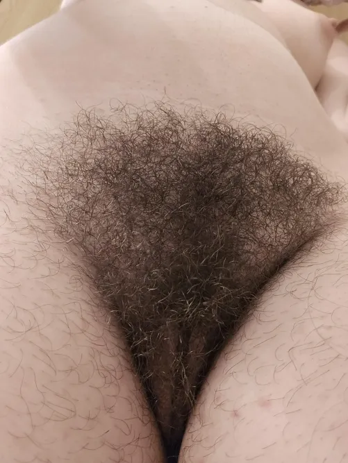 Thumbnail Hungry Look: A Glimpse into Hairy Temptations by electronicnotetaker