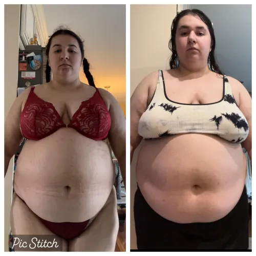 Thumbnail Feeding the Growing Belly: ZaraGainer's Journey