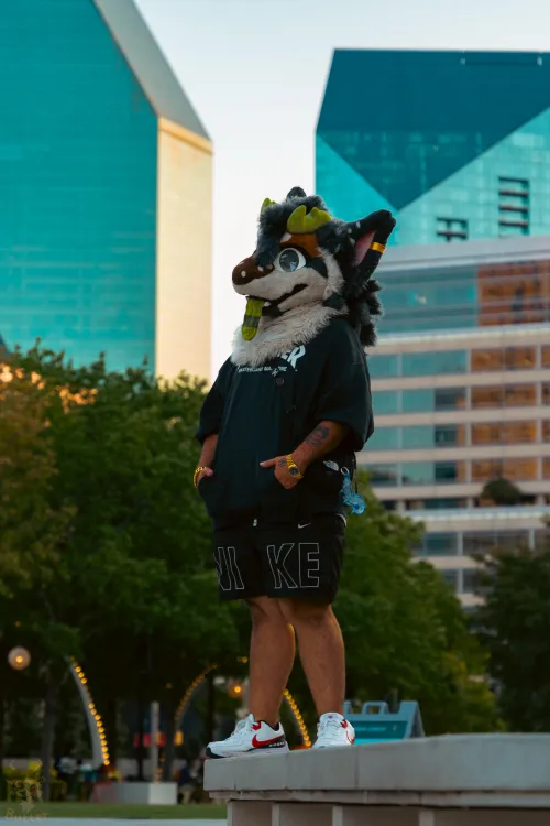 Thumbnail I'm the Face of My City: A Furry Character Revealed by Butteerr_