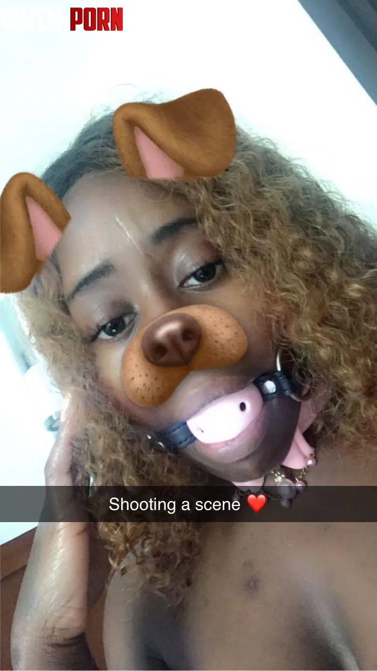 This puppy wants to play  add me on snap shoppebykk  by Ilovekittyk