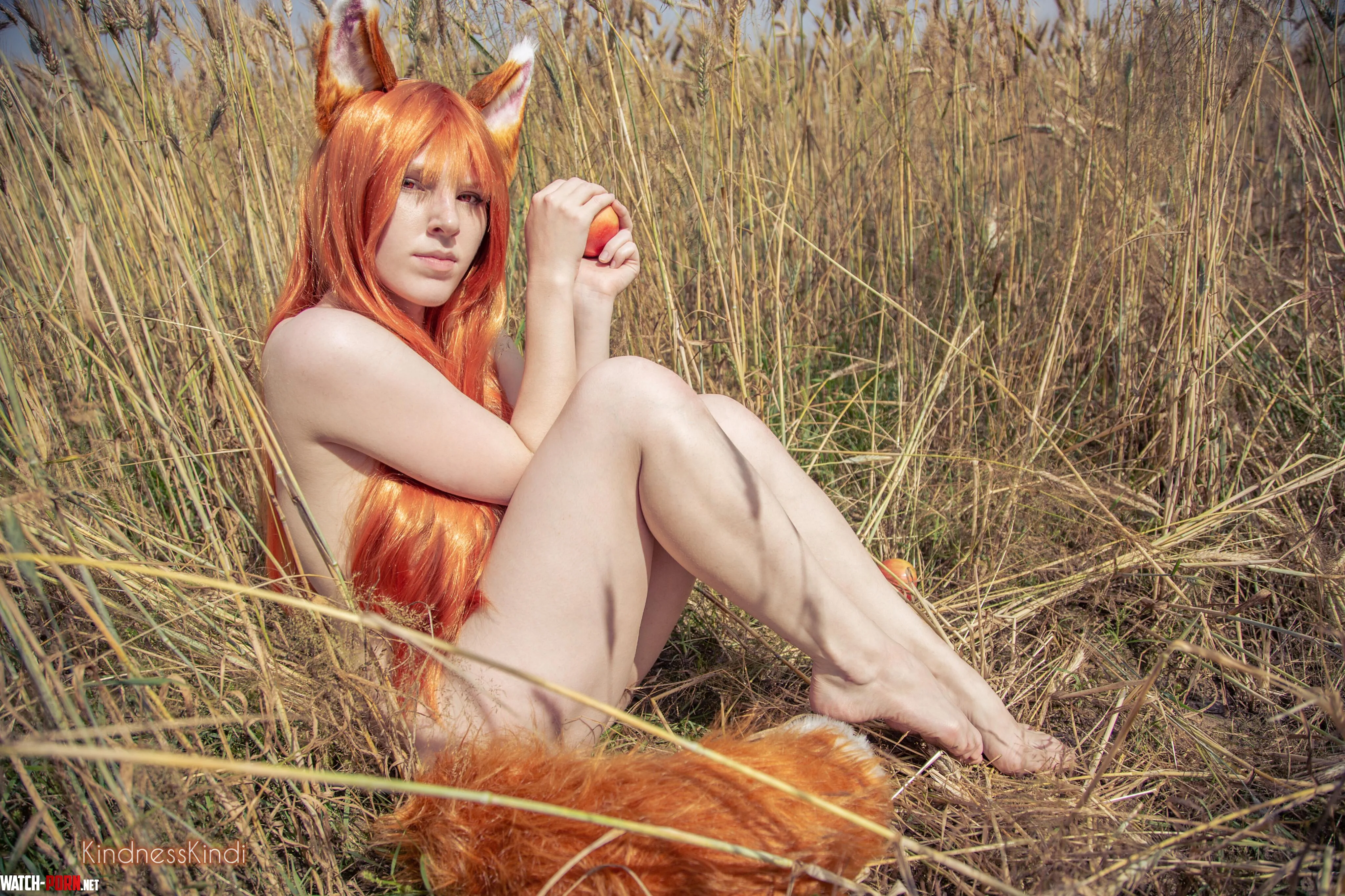 Holo by KindnessKindi Spice and Wolf by kindnesskindi