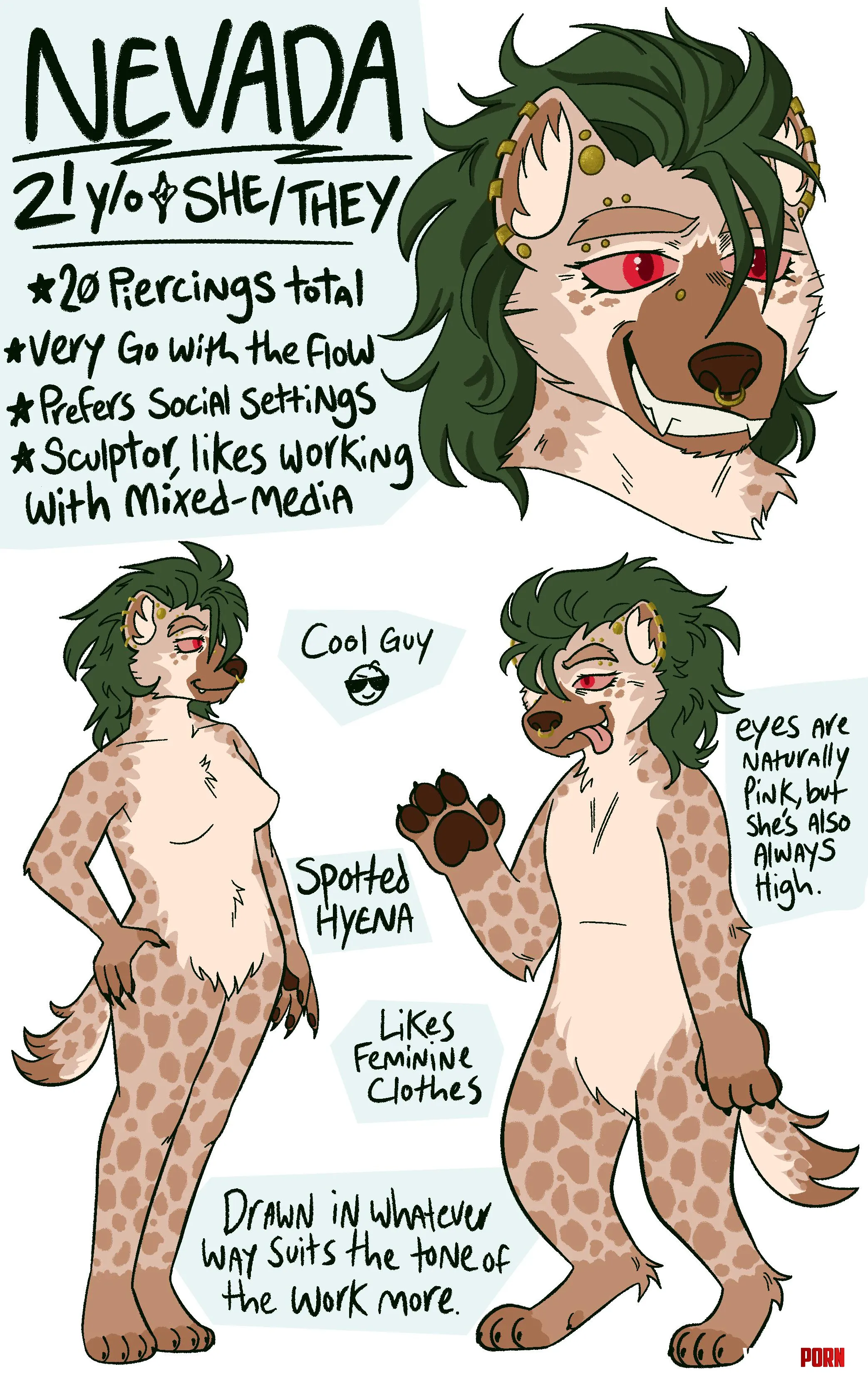 Nevadas Reference Sheet by Shaesinflames