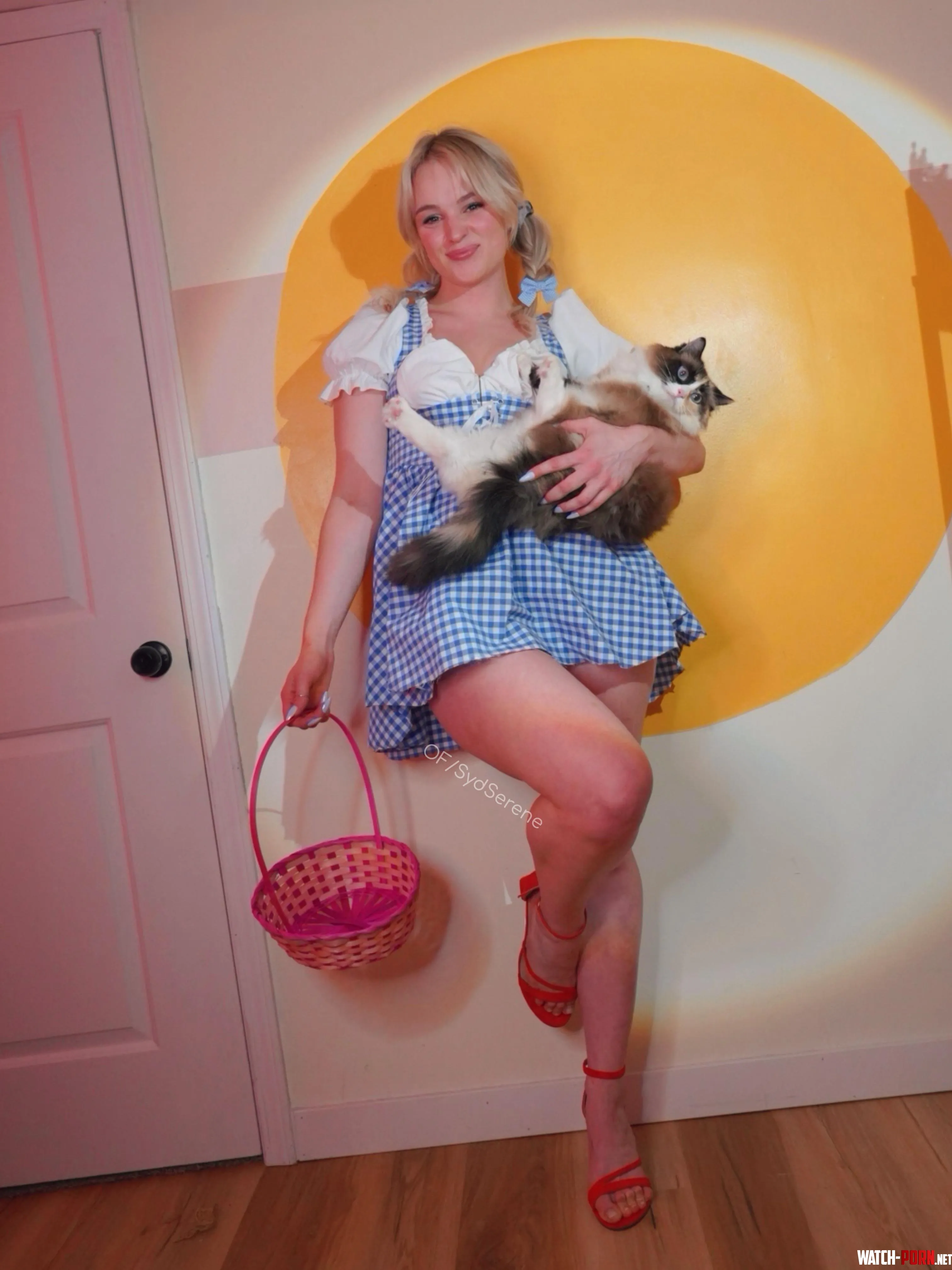 Dorothy and Todo from Wizard of Oz by Syd Serene and sky by Serenebody