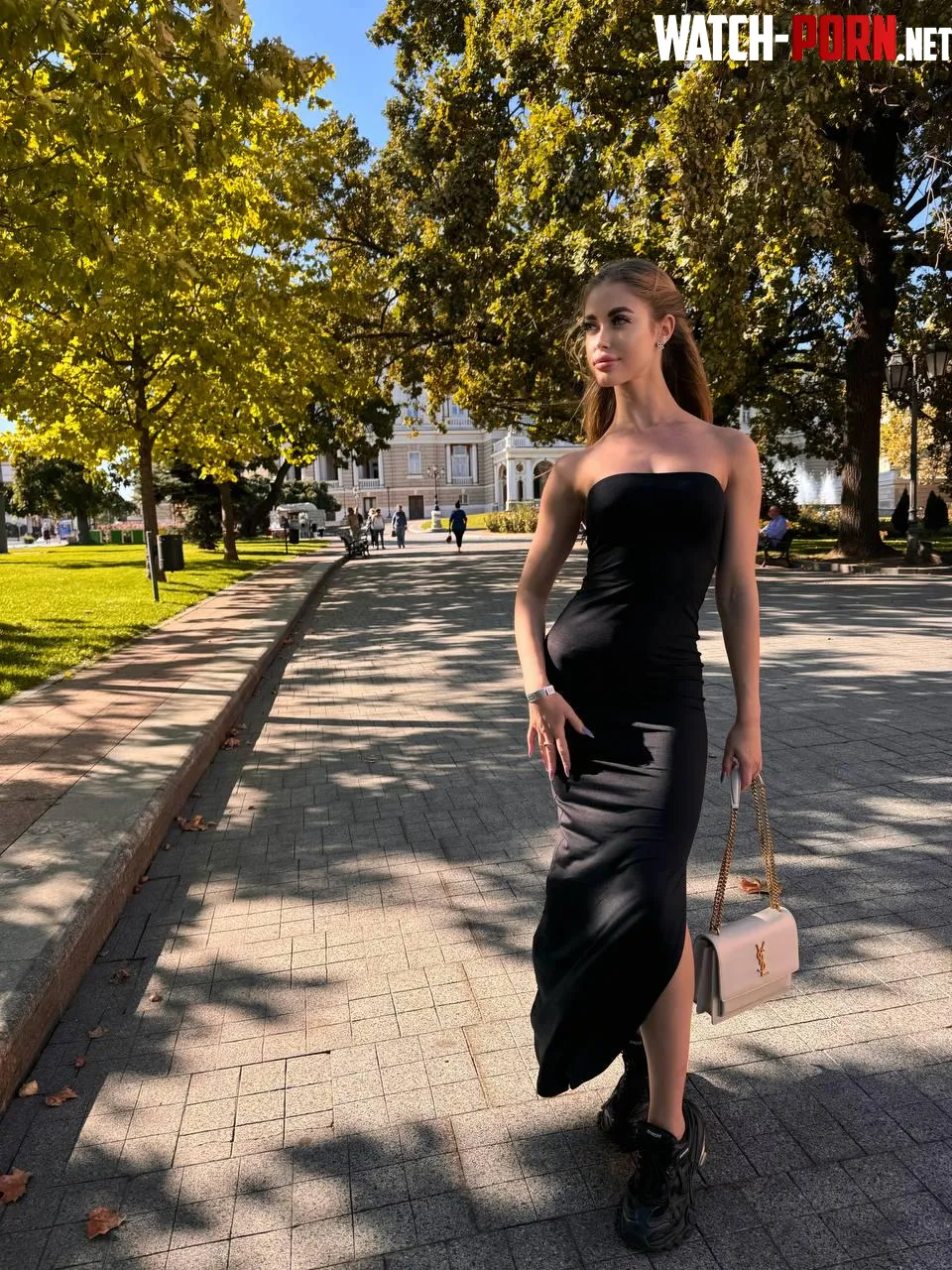I collect a lot of looks in this dress by muse_fantasy