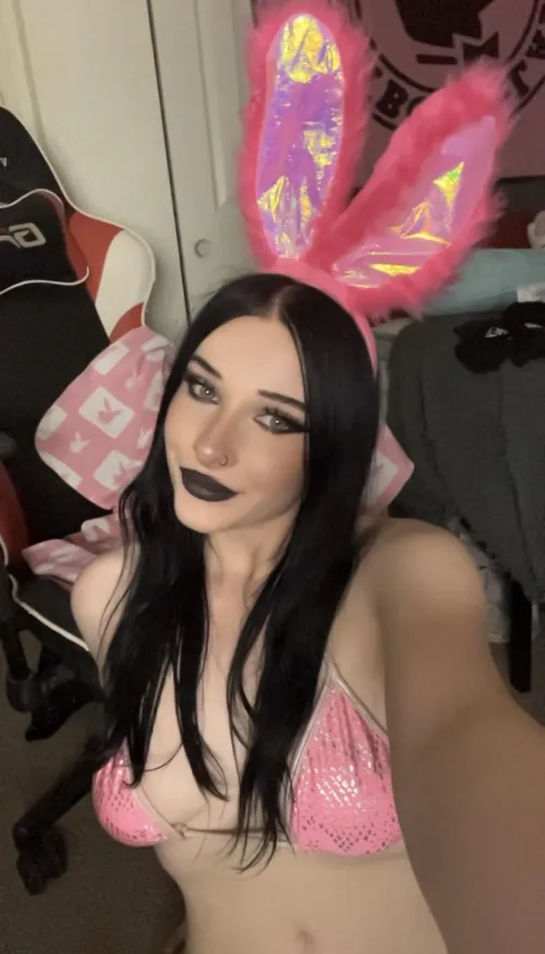 Thumbnail Explore Your Goth Side: Your Favorite Goth Bunny Guide by KaleidoscopeFast7797