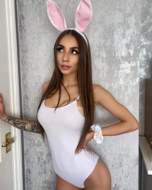 Thumbnail White Bunny Elegance | jpx82