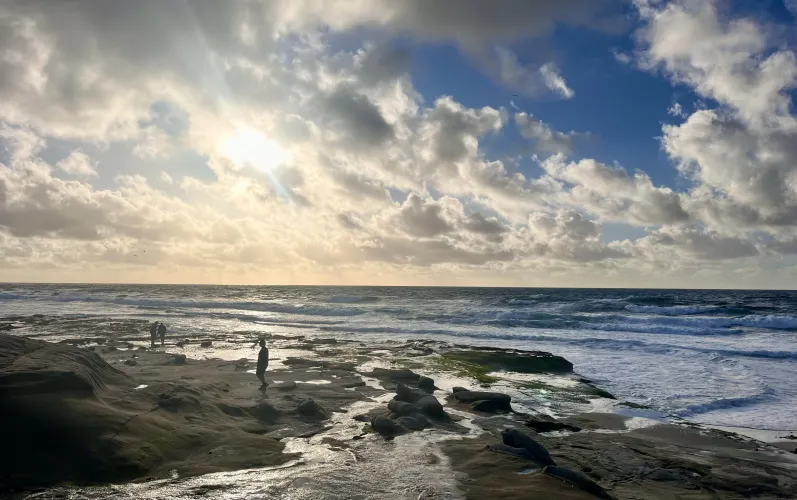 Thumbnail OceanEarthGreen's La Jolla Sunset: A Windansea Dream