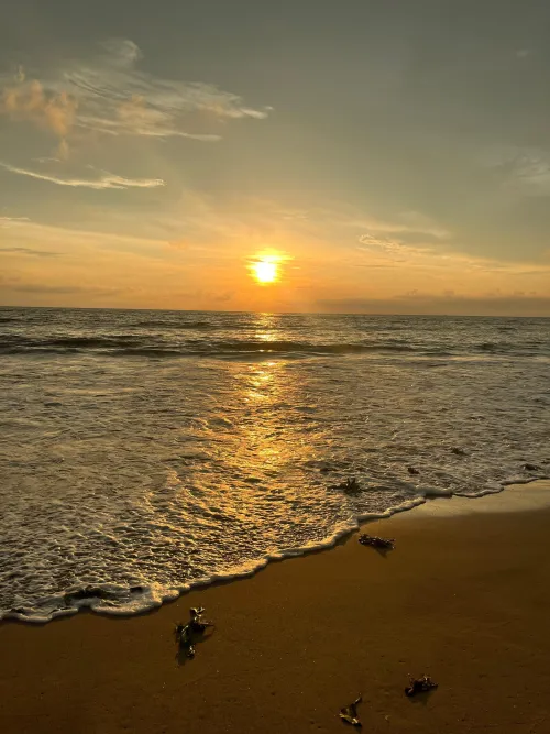 Thumbnail Akusutto_Okazaki's Sunset Cravings: Beach Vibes Await