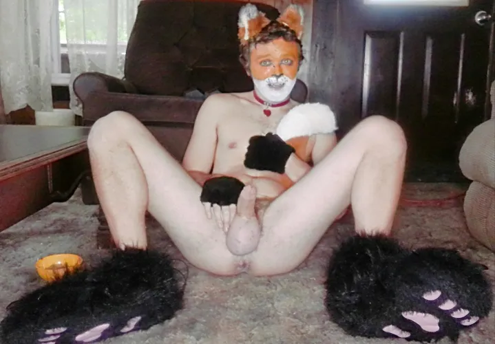 Thumbnail Excited to See You, Master - Anticipating Petplay Experiences