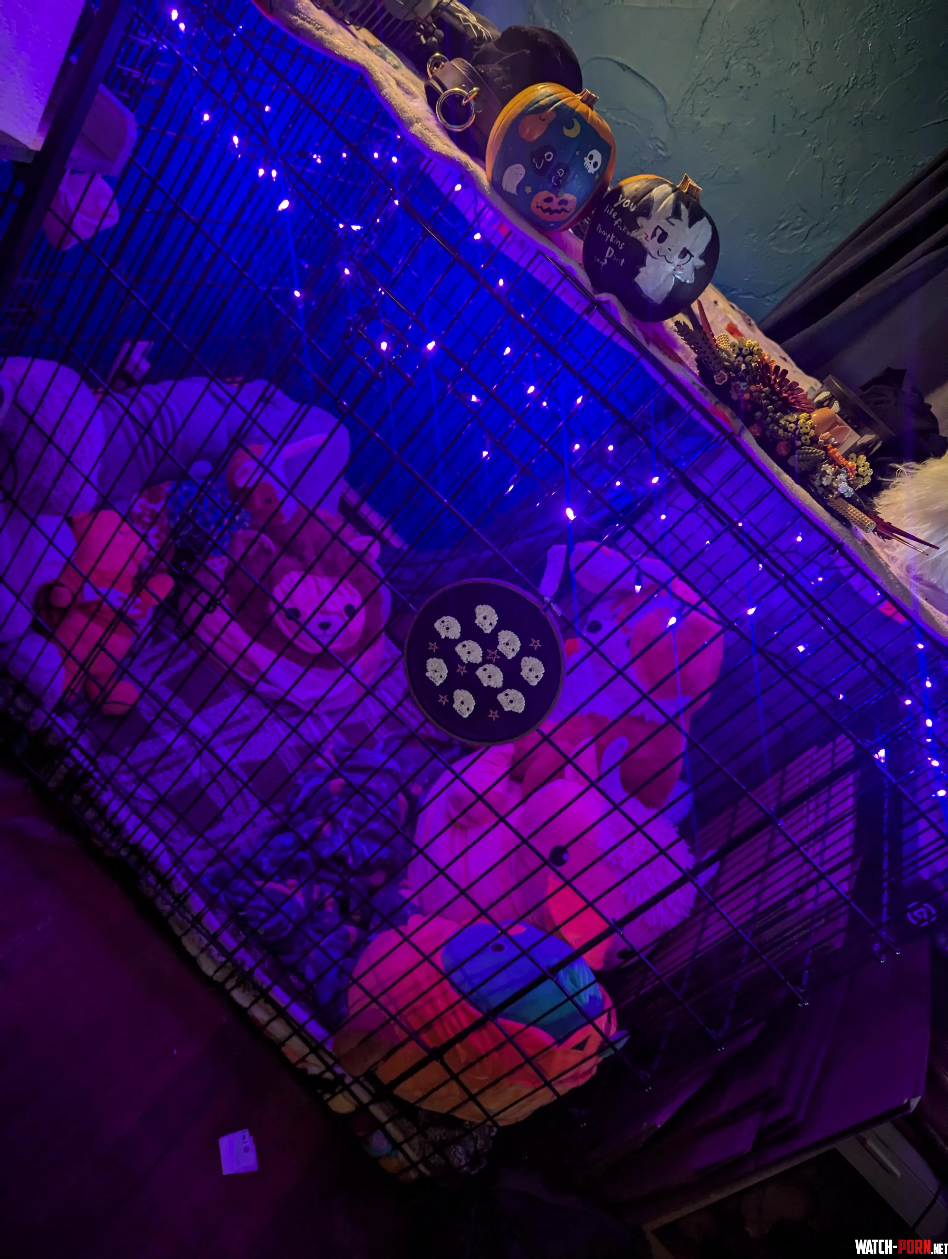 Cage ready and decorated for halloween 33 by achillesgoldenrod