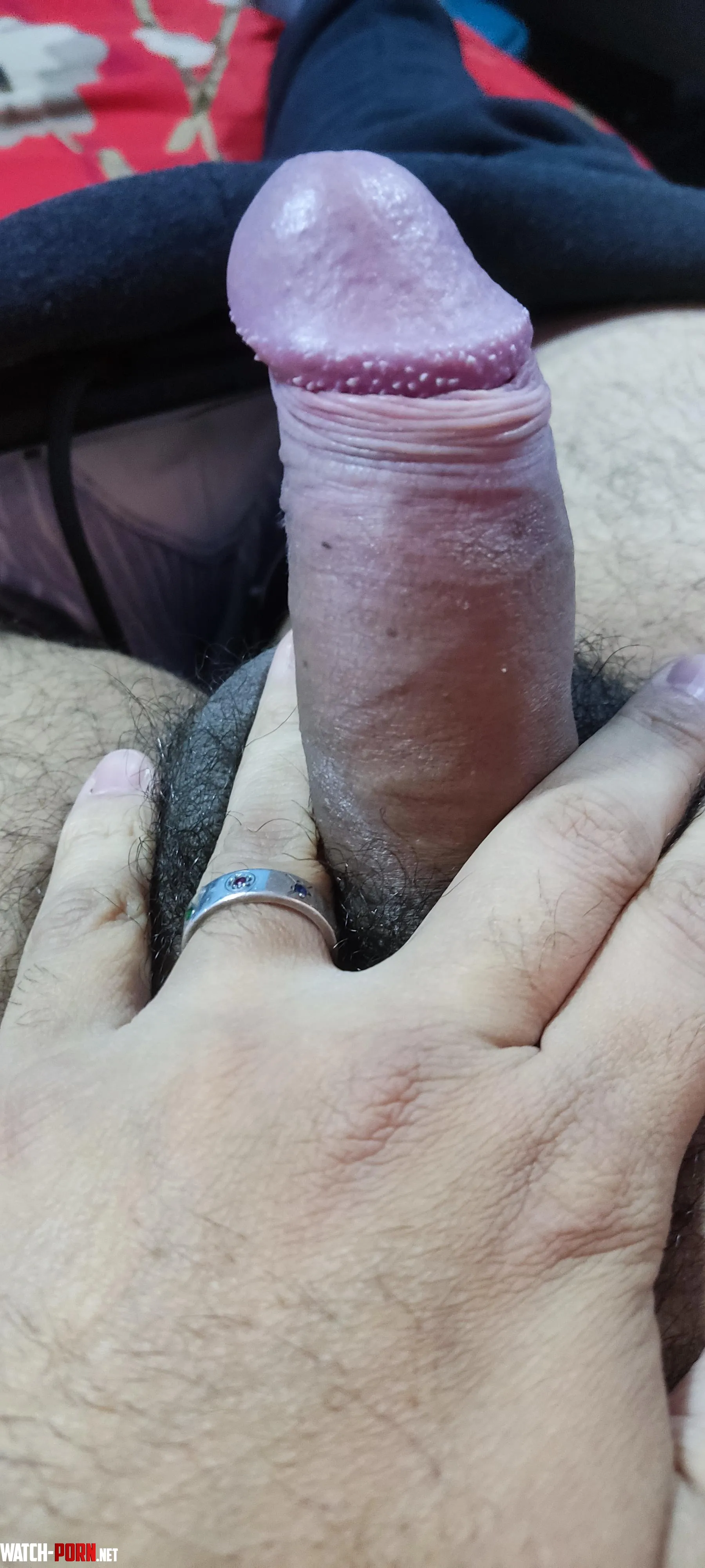 I sell adult content photos videos  by papitogamer95