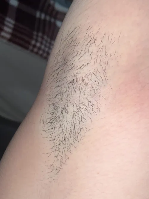 Thumbnail Grow it Out or Keep it Short - baby_sophia20's Armpit Dilemma