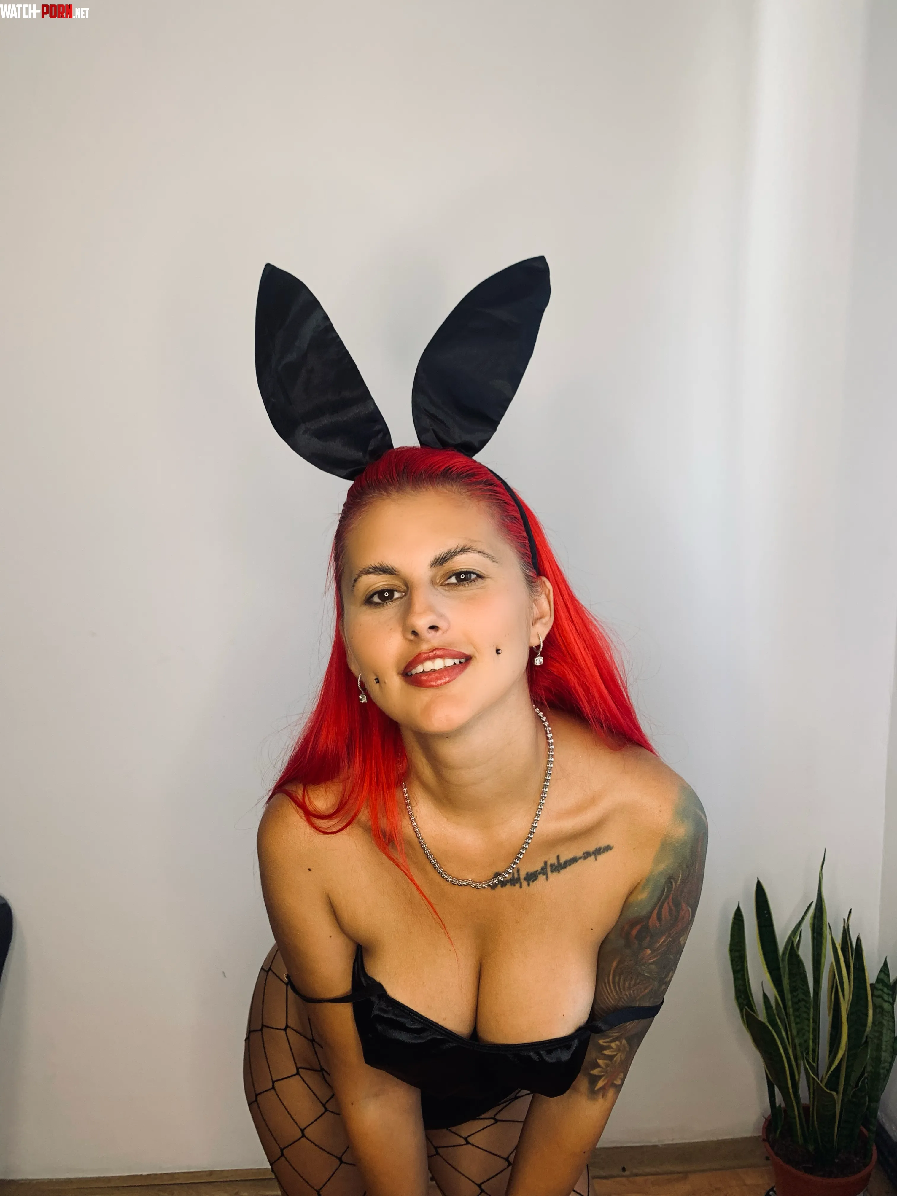 this bunny needs something to hop on by Joan_Arks_Angel