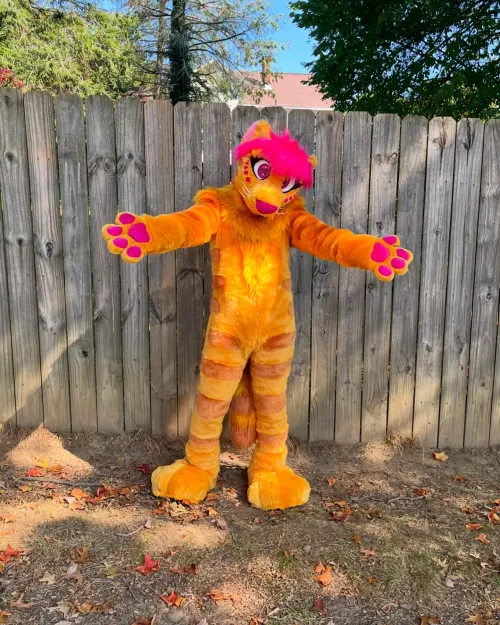 Thumbnail Furry Fun Unleashed: Flyjah_FlySkunk's New Fursuit Extravaganza