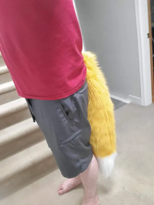 Thumbnail Dress for Success: Server Work Fursuit Friday by kaioker2