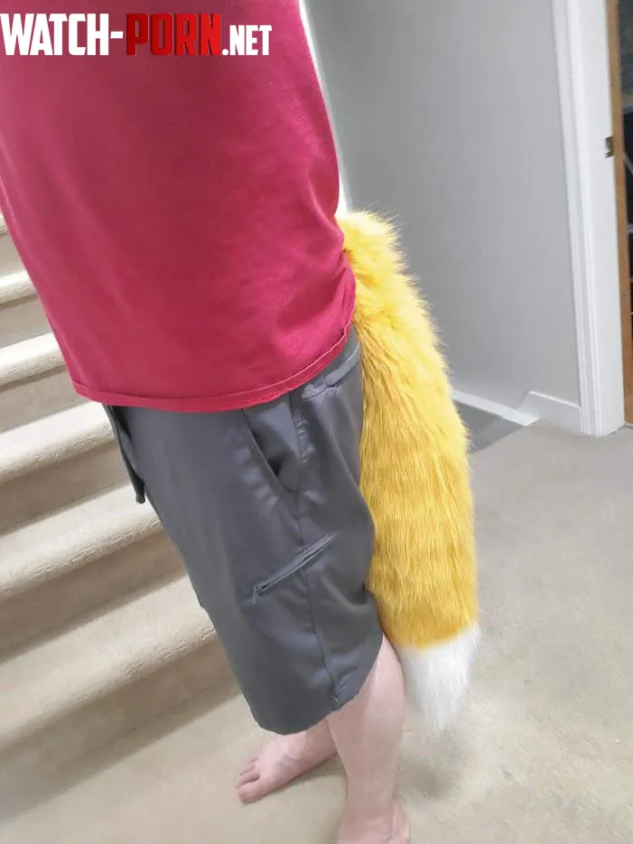 Dress for Success The Right Look for Server Work fursuit friday by kaioker2