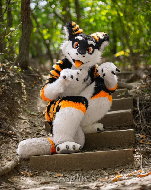 Thumbnail Facing a Cheese-Shaped Obstruction: A Furry Dilemma by SilySox