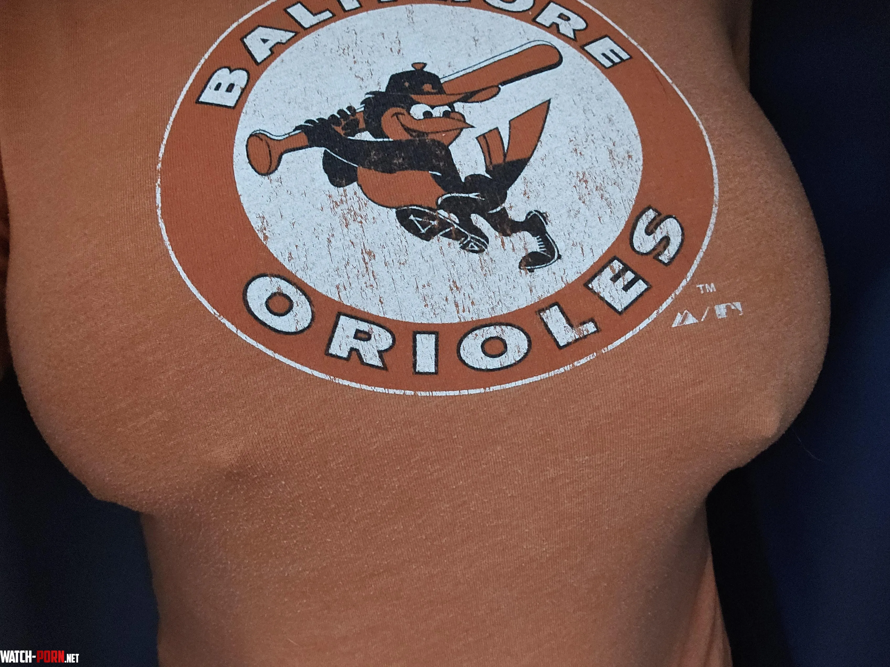 Season on the line Will you root for the Os with me Pretty please by _Mountain_Dew_Me_