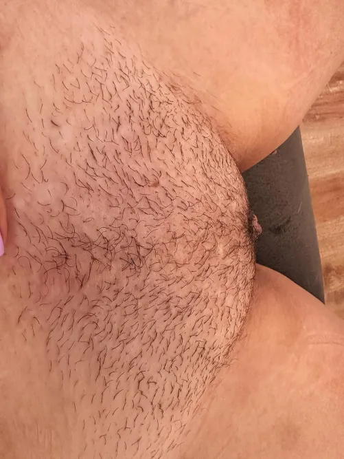 Thumbnail Angelfromheavenn_'s Request: It's Growing Time on HairyPussy