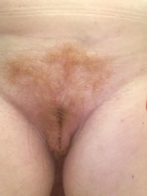 Thumbnail EstablishmentOwn6941 Shares Ginger Pubes Fever | ginger