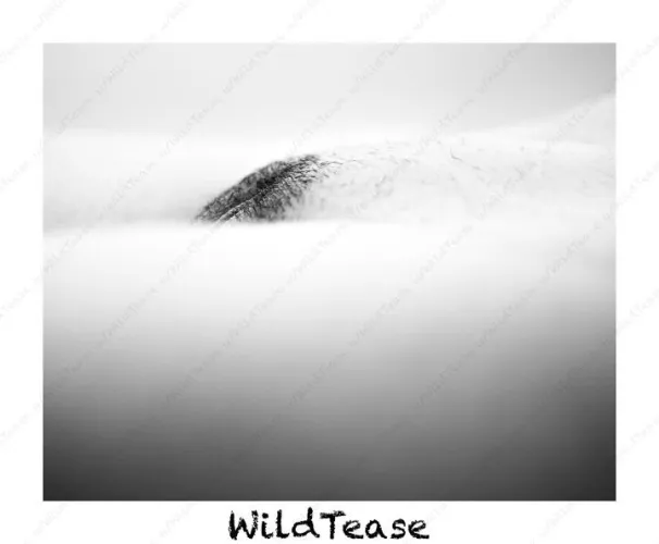 Thumbnail Happy Friday f OC: An Enticing Read by WildTease in PussyMound