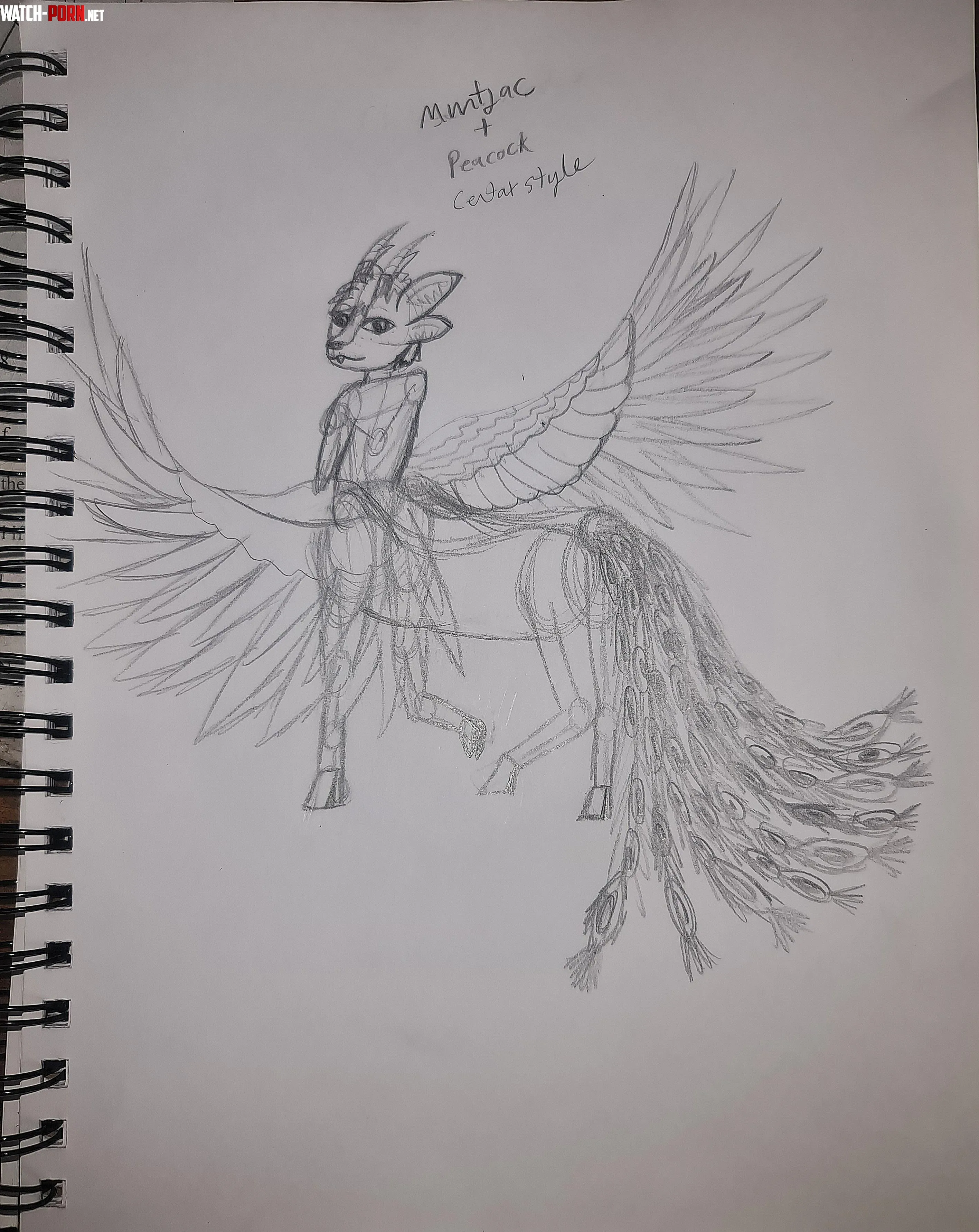 Question would this count as a furry by Atypical_Ty