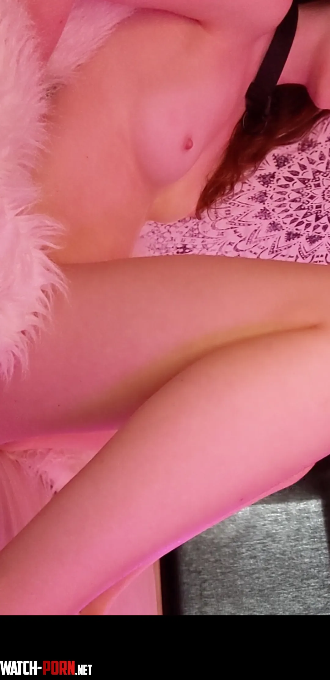 My tits need attention  by No_Clothes_9564