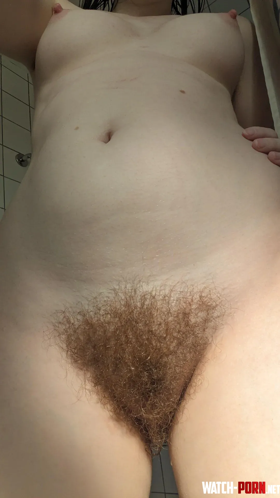 Ginger bush or pink nipples by lapoulettepetite