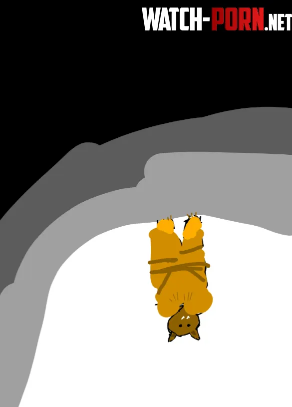 you look up and see this guy wdyd by Budget_Conclusion598