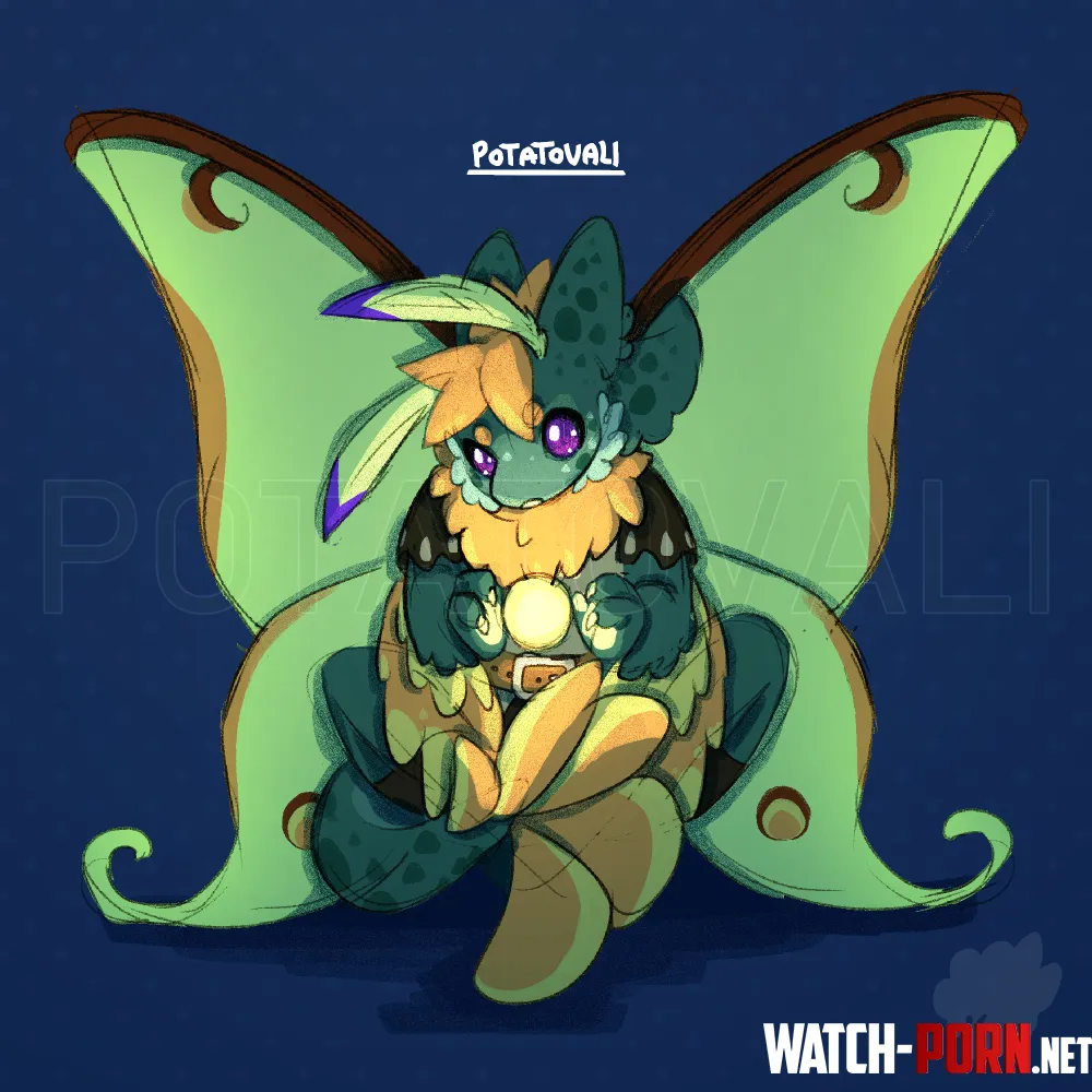 Moth avali Art by me by Potatovali