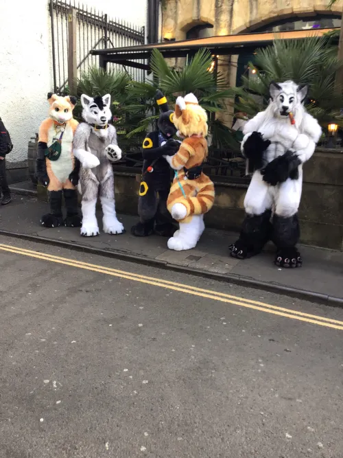 Thumbnail Fursuiters Impress ReddColoV1: A Furry Encounter