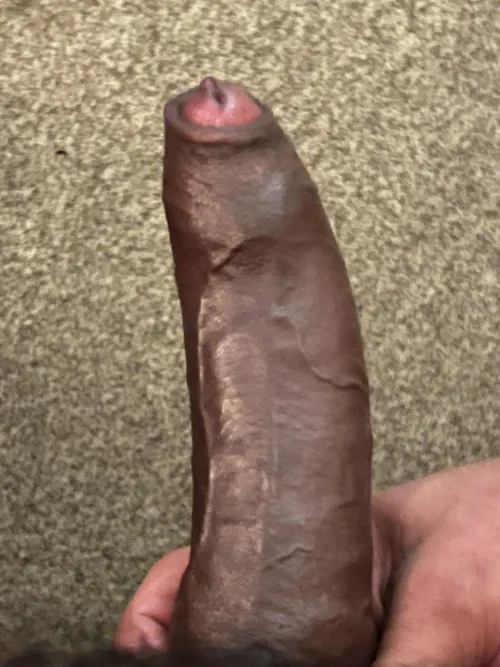 Thumbnail Account Exploration: A Journey into HairyCurvy Discoveries