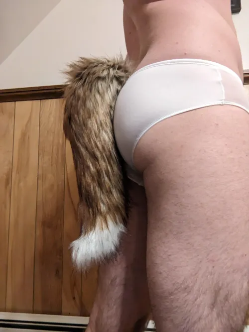 Thumbnail Fox Boys in Panties Liked by Many by Alternate-Rooster in petplay