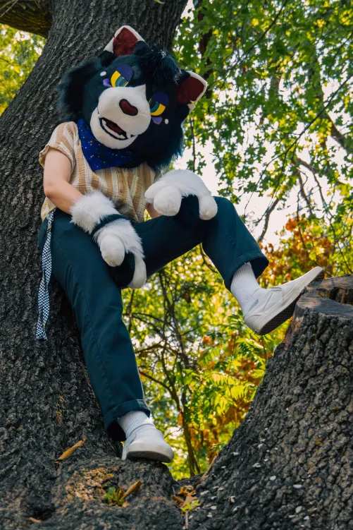 Thumbnail Who Let the Cat Climb the Tree: Adventures in the Furry World