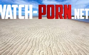 Skaket Beach USA by Illustrious-Soup-559