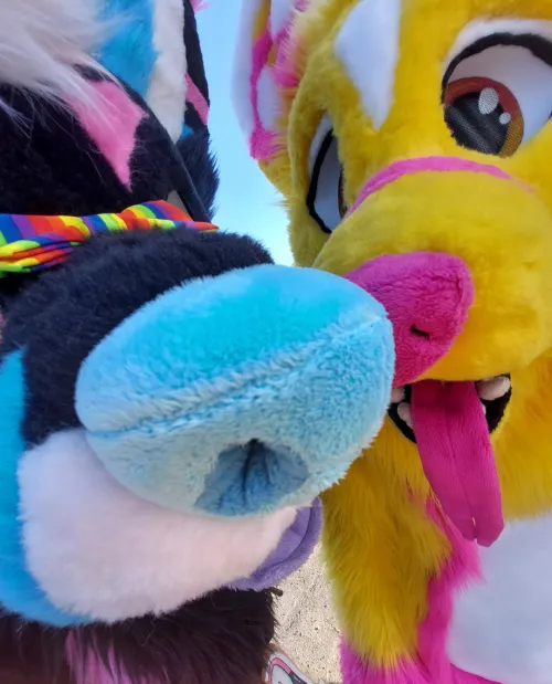 Thumbnail Sniff Sniff Furry Art by BassFW