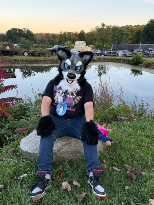 Thumbnail Experience a Day at a Pride Event - Stories by amerom1012