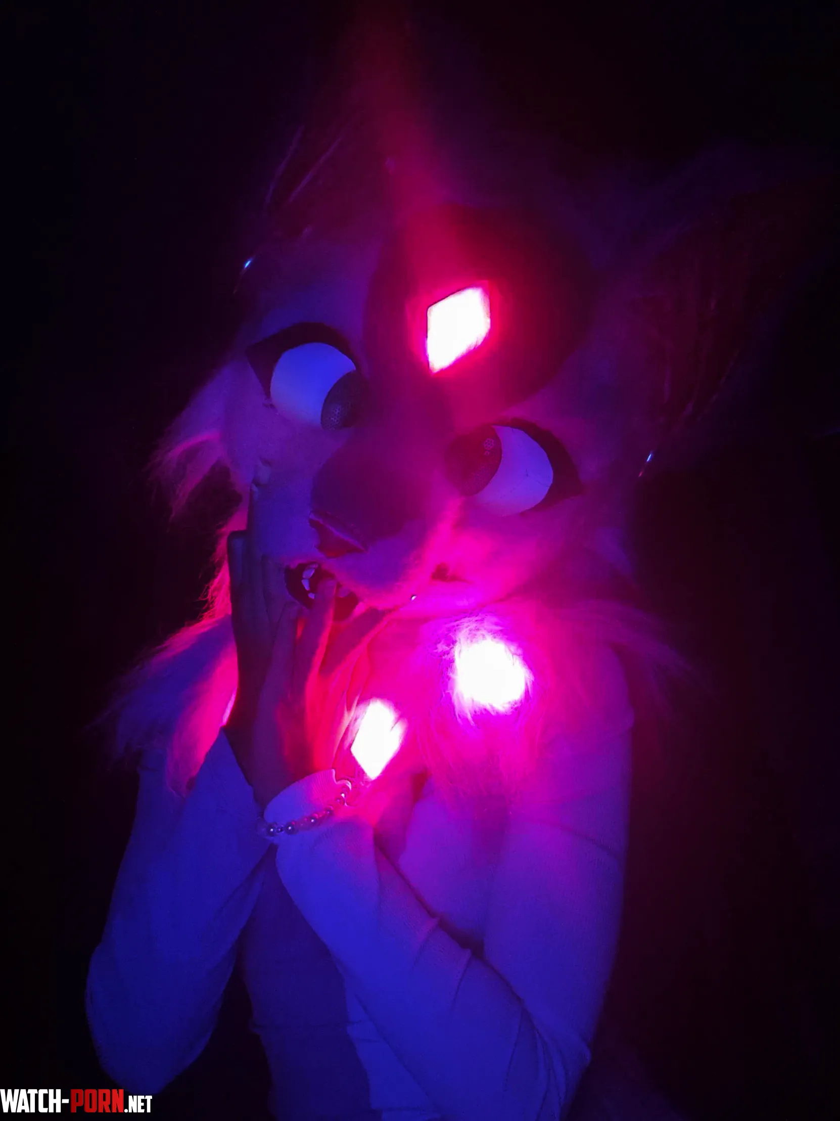 you found a glowy batcat staring at you in the dark wyd by hi-Dia