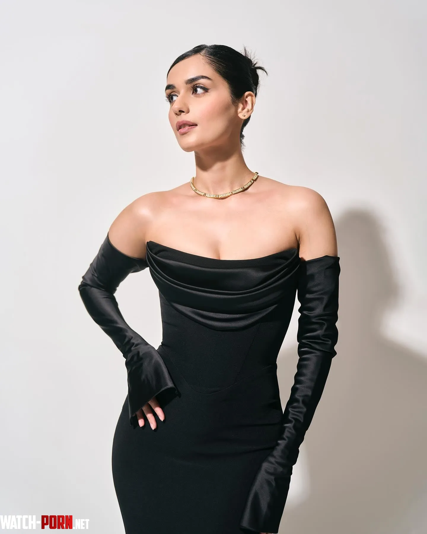 Manushi Chhillar  by tarzore