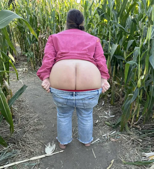 Thumbnail Fall Fun at the Pumpkin Patch - Chubby Category