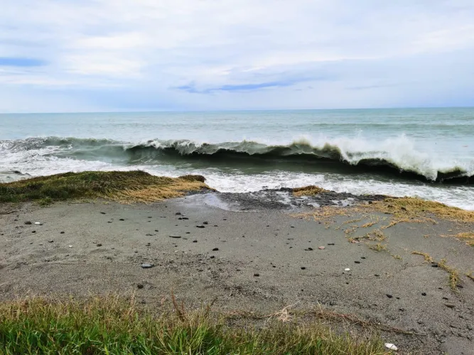 Thumbnail Sandy Delights: Explore the Beach with Tangcityshop