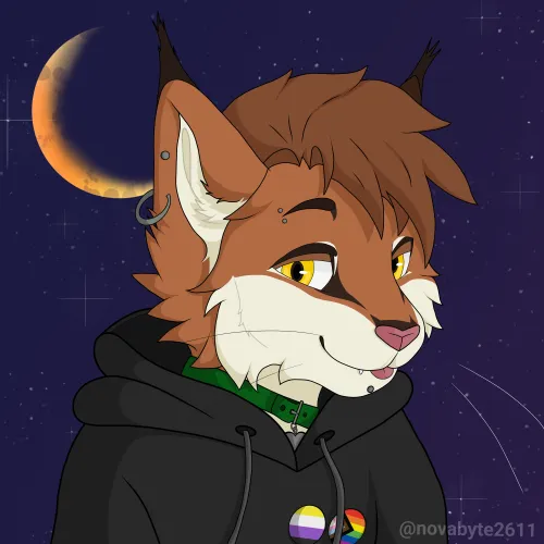 Thumbnail Commissioned Artwork: Novas_art Creates a Masterpiece for a Friend in the Furry Category